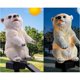 thumbnail image 3 of Solar Resin Crafts Bear Lawn Lamp Warm White Light Color IP55 Black/White Bear, 3 of 5