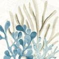 thumbnail image 2 of Kimberly, Allen 15x15 White Modern Wood Framed Museum Art Print Titled - Coral Square 3, 2 of 4