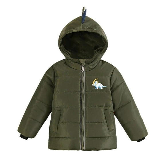 SGFCWSX Boys Girls Dinosaur Hooded Puffer Jacket Kids Winter Warm Coat Green Size 4 Years