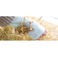 thumbnail image 4 of Angelica Collection Non-antique White Stipple Finish Brass dog Expandable Bangle Female Adult, 4 of 4