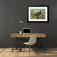 thumbnail image 4 of Johann Friedrich Naumann 24x18 Black Modern Framed Museum Art Print Titled - Phaeton Ethereal, Fregata Eagle, 4 of 5