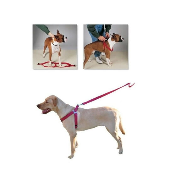 25 Pack Dog Harnesses Bulk Wholesale Assorted Colors Vet Rescue Shelter Safety (Small - 9 to 15 Inch Chest)