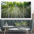 thumbnail image 1 of Design Art - Forêt de Bambous de Kyoto Japon., 1 of 3