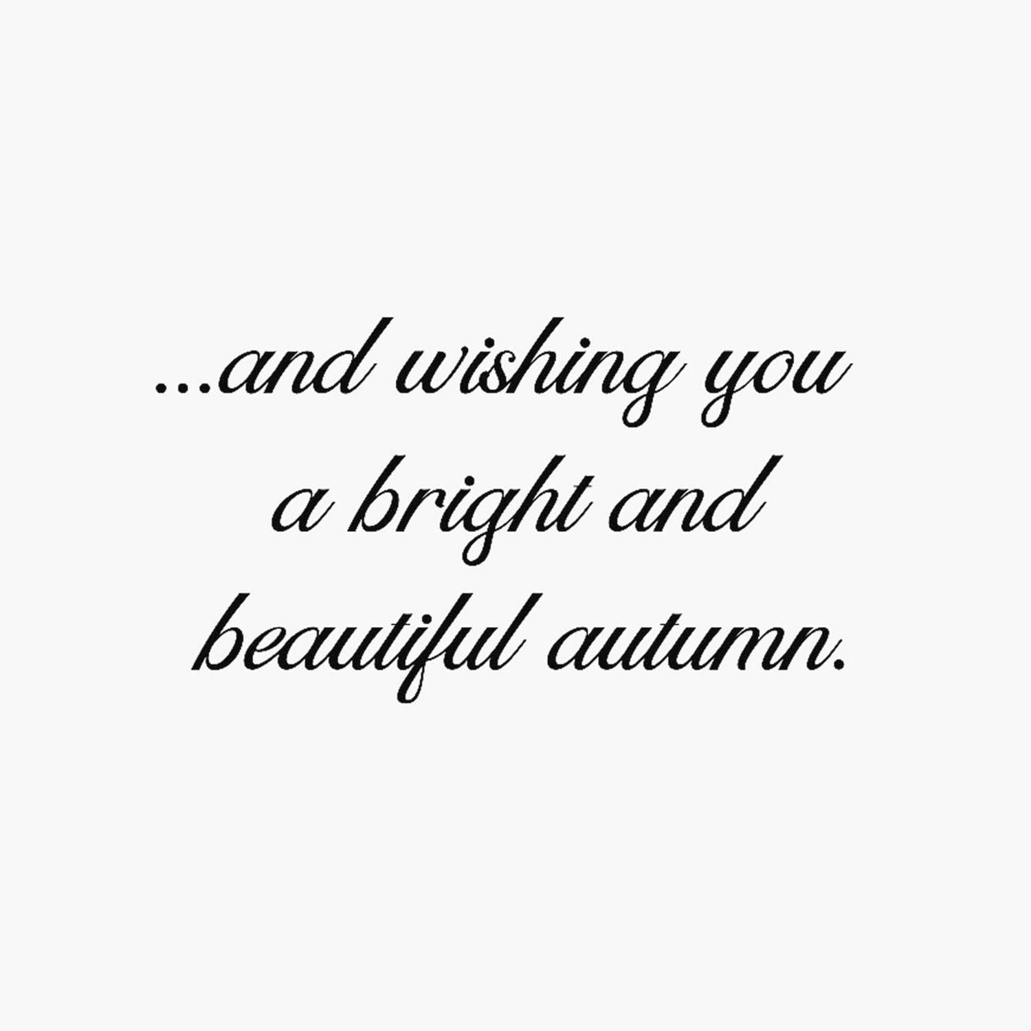 Hallmark Pumpkins and Leaves Thinking of You Cards (8 Cards With Envelopes)