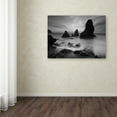 thumbnail image 3 of 16x24 Canvas, 3 of 3