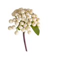 thumbnail image 2 of AKEGAMN Clearance! Lifelike Artificial Violet Holly Berry Stems Feature Bendable Branches For Customizable Arrangements In Vases Bouquets And Designs Lifelike Artificial Violet Holly Berry Stems Fea, 2 of 7