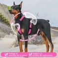 thumbnail image 4 of Táctico Pechera Arnés De Seguridad Perro Mediano Y Grande542, 4 of 8