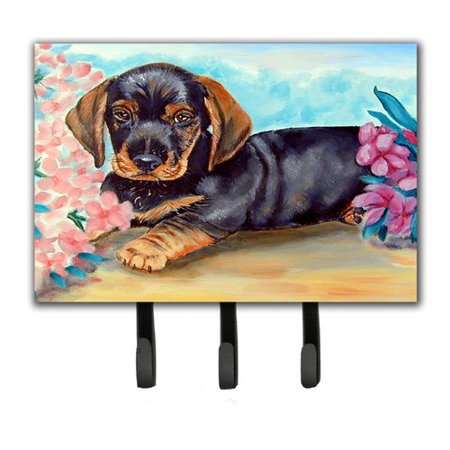 Dachshund Leash Hook - Caroline's Treasures Dachshund Leash Holder and Key Hook