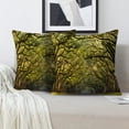 thumbnail image 2 of LALILO Throw Pillow Covers Stunning Long Ancient Live Tree Cushion Cover 18" x 18", 2 Pack, 2 of 6