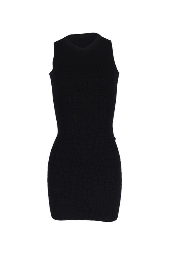 Pre-Owned Alexander McQueen Mini Dress in Black Rayon