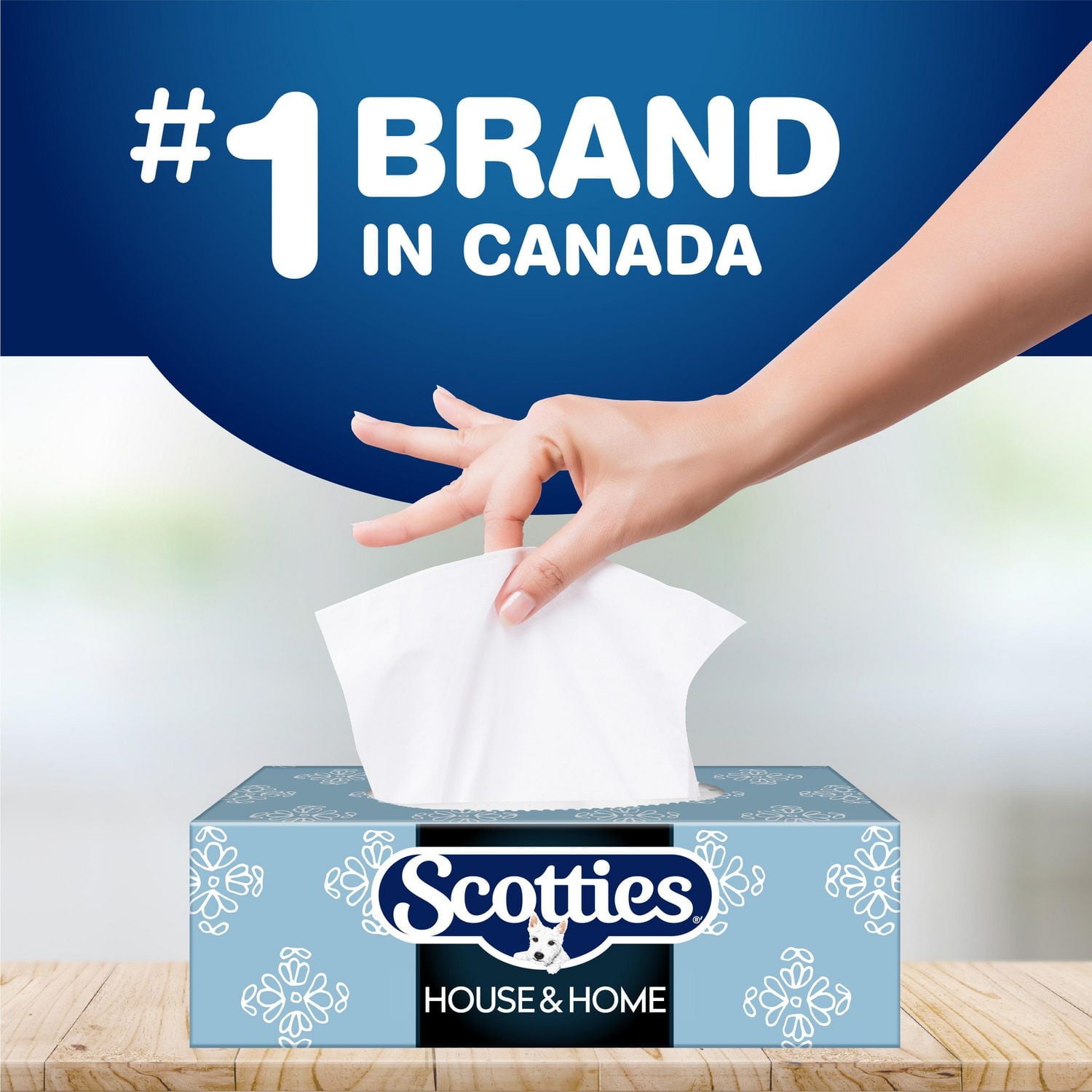 Scotties Original Everyday Care Facial Tissue, Hypoallergenic and Dermatologist Tested, 18 Boxes, 126 Tissues per Box, 18 Boxes, 126 Tissues per Box