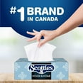 thumbnail image 5 of Scotties House & Home, 2-Ply Facial Tissue, 9 Boxes, 126 Tissues Per Box, 5 of 5