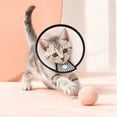 thumbnail image 5 of Pet Elizabethan Collar, Transparent Plastic Recovery Cone with Breathable Mesh, Soft Foam Edges, Adjustable E-Collar for Cats, Puppies, Medium Dogs, 5 of 7