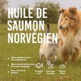 Huile De Saumon Chien Et Chat 1 Litre Riche En Omega 3 Et 6 Complément Alimentaire Huile