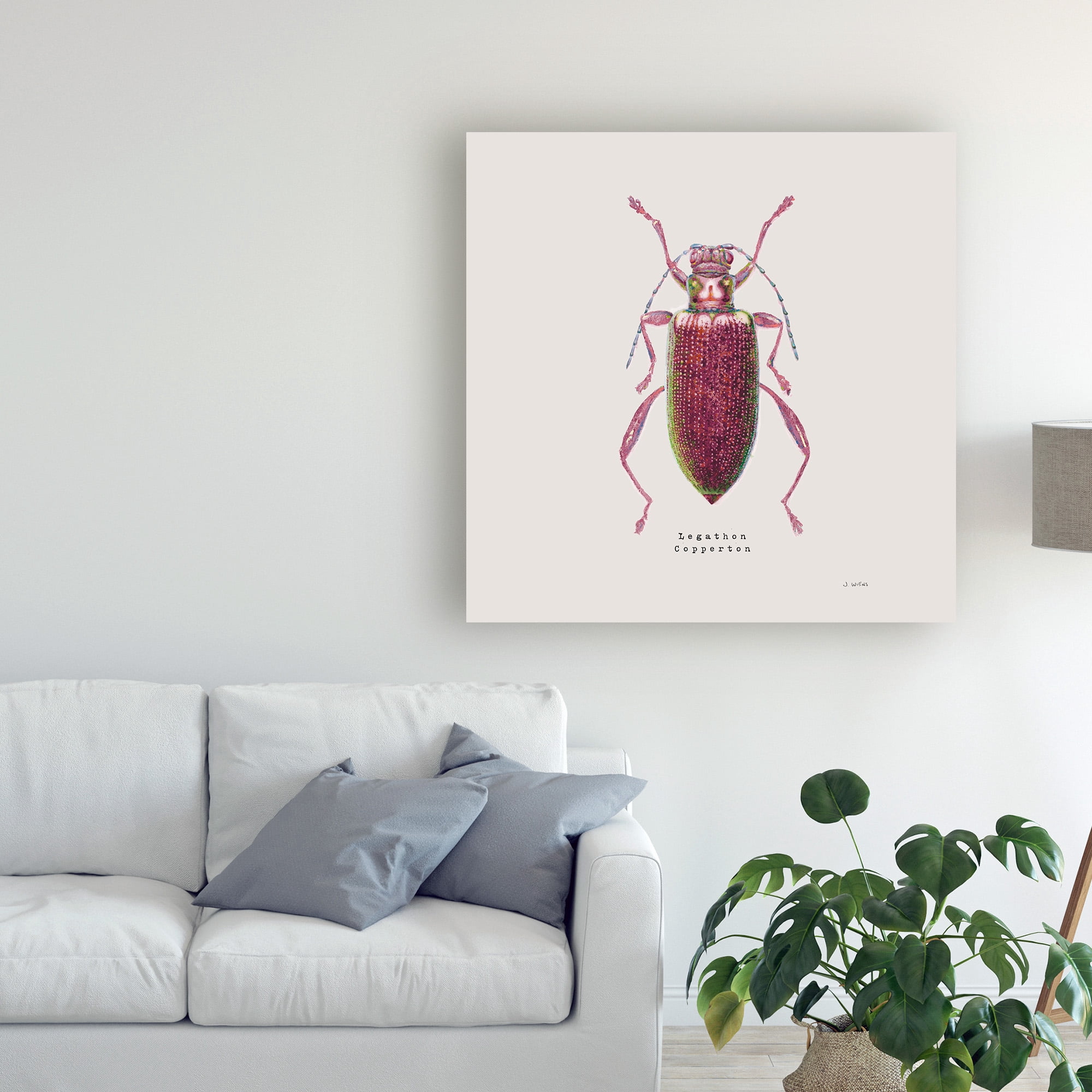 Trademark Fine Art 'Adorning Coleoptera VI Sq Claret' Canvas Art by James Wiens