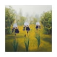 thumbnail image 4 of Iris's Surreal Dream - Canvas, 4 of 25