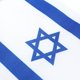 thumbnail image 2 of 5 Pcs Hand Waving Flag Israel National Hand Flags, 2 of 5