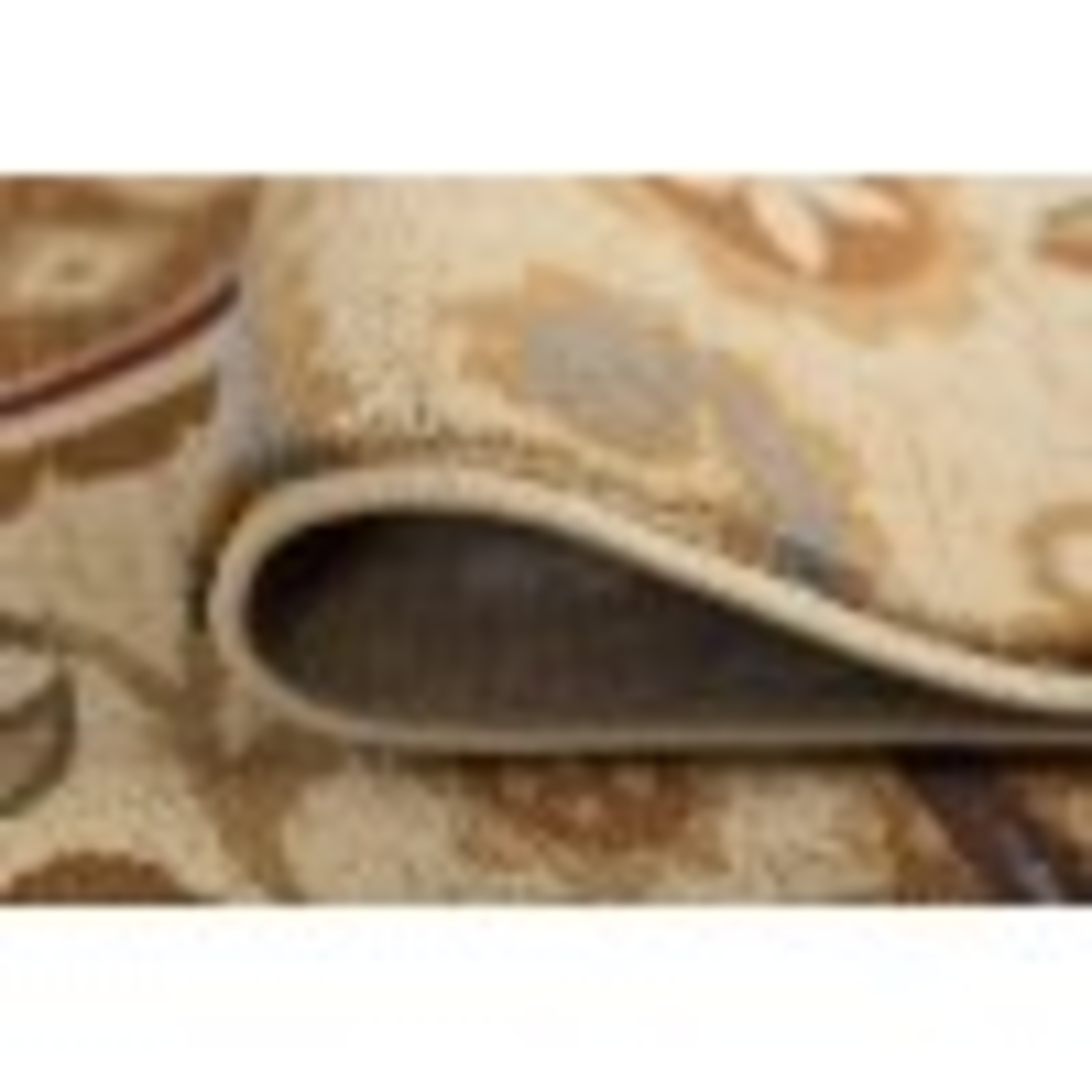 Impressions Transitional 8' x 10' Beige and Brown Polypropylene Indoor Area Rug