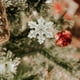thumbnail image 1 of Adornos para árbol de Navidad, adornos navideños colgantes, reutilizables, bonitos y adecuados para fiestas en casa., 1 of 5