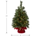 thumbnail image 5 of National Tree 24 Inch Majestic Fir Tree with 35 Battery Operated Warm White LED Lights (MJ3-24BGLO-B1), 5 of 5