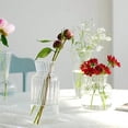 thumbnail image 3 of HLONK 1pc Nordic Creative Transparent Vases Glass Plant Bottle Flower Pot Hydroponic Terrarium Arrangement Container Table Vase Decor, 3 of 8