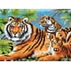 thumbnail image 1 of cepillo real Royal Brush PJL-5, 1 of 1