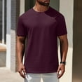 thumbnail image 2 of snilers Men's T Shirts Lightweight Crewneck Short Sleeve Basic Athletic Tee Shirts Workout Quick Dry Loose Fitted Tees, 2 of 6