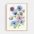 thumbnail image 2 of Blue and Purple Anemone - Drawing Floral Flowers Botanical Nature Pastel Unframed Wall Art Print 24 x 36 inches, 2 of 16
