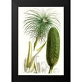 thumbnail image 2 of Curtis 13x18 Black Modern Framed Museum Art Print Titled - Curtis Palms IV, 2 of 5