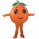 thumbnail image 4 of Disfraz de mascota de dibujos animados de fruta naranja, disfraz de Cosplay de Halloween, lindo conjunto de actuación de personaje de fruta, 4 of 4
