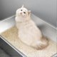 thumbnail image 4 of Stainless Steel Litter Box for Cat Odor Control Litter Pan Non Stick Litter Box, 4 of 5