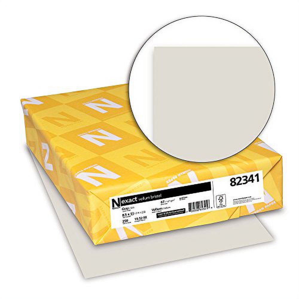 Wausau Paper Vellum Bristol Cover Stock, 250-Sheets, Gray, 8.5 x 11-Inch (82341)