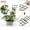 A #2, variant on Vaidha Plant Vines Climbing-Garden Plastic Mini Potted Support HOT