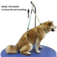 thumbnail image 3 of Stainless Steel Grooming Loop Table Arm Body Holder Rope Harness for Pet Dog Cat Random Color, 3 of 8