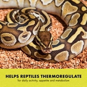 Zilla Terrarium Heat Mat for Reptiles, Black, Medium, 30-40 Gallon, 16 Watt
