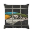 thumbnail image 2 of Ahgly Company Animals Parrot Indoor Throw Pillow, 18 inch by 18 inch, 2 of 6