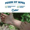 Cutter™ First Aid Poison Ivy Wipes Itch Relief, 12ct
