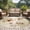 Wheat, variant on Round Area Rug 8 Ft, Brown Ombre Daisy Washable Non-Slip Circle Carpet for Living Room/Bedroom, Farmhouse Vintage Floral Botanical Collection Low-Profile Large Area Rugs for Indoor