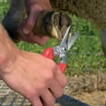 thumbnail image 2 of ARS 140DXR Smooth Blade Hoof Trimmer & Garden Pruning Shears, 2 of 6