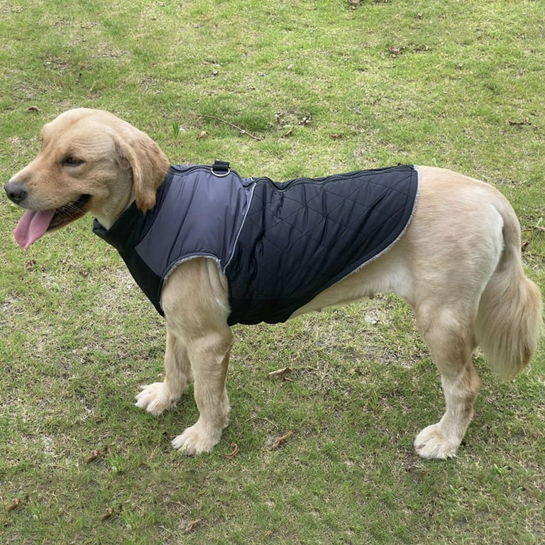Walmart dog best sale jackets