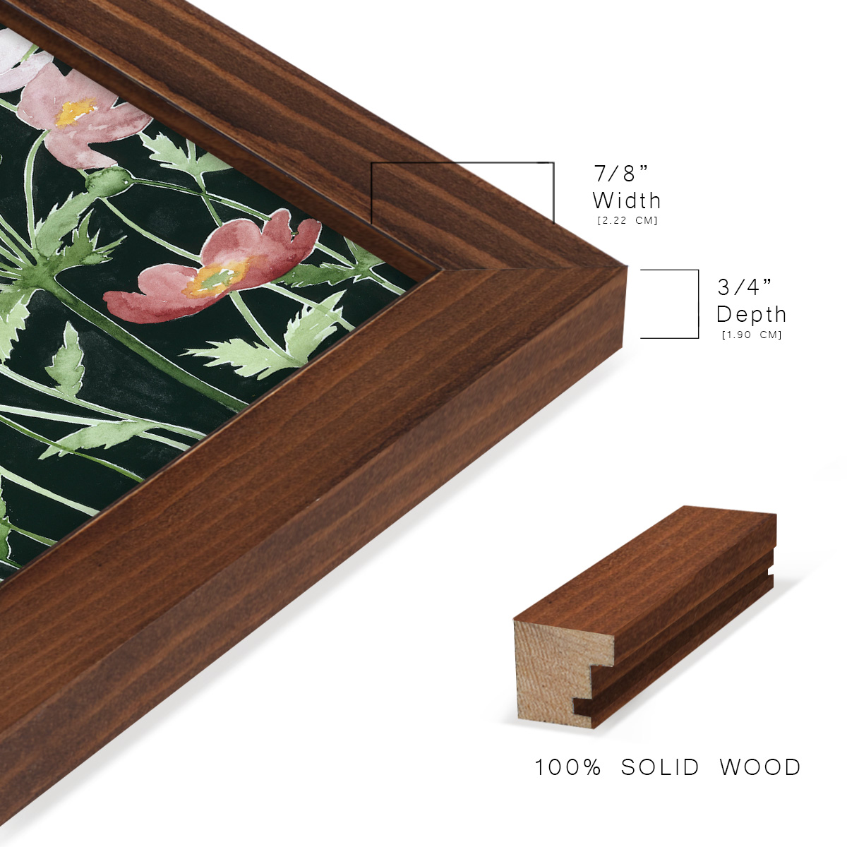 Anemone Dance I -Framed Print w/glass-Chestnut