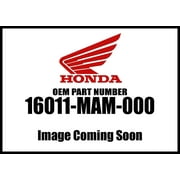 Honda 1994-2000 Goldwing GL Float Valve Set 16011-MAM-000 New OEM