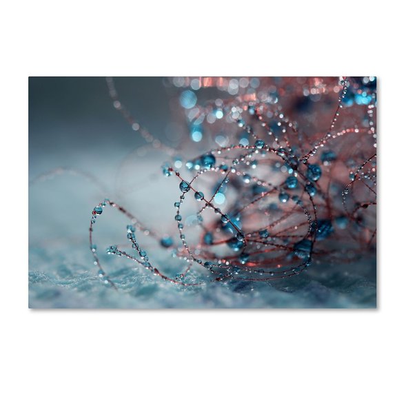 Trademark Fine Art "Blue Silence" Canvas Art by Beata Czyzowska Young