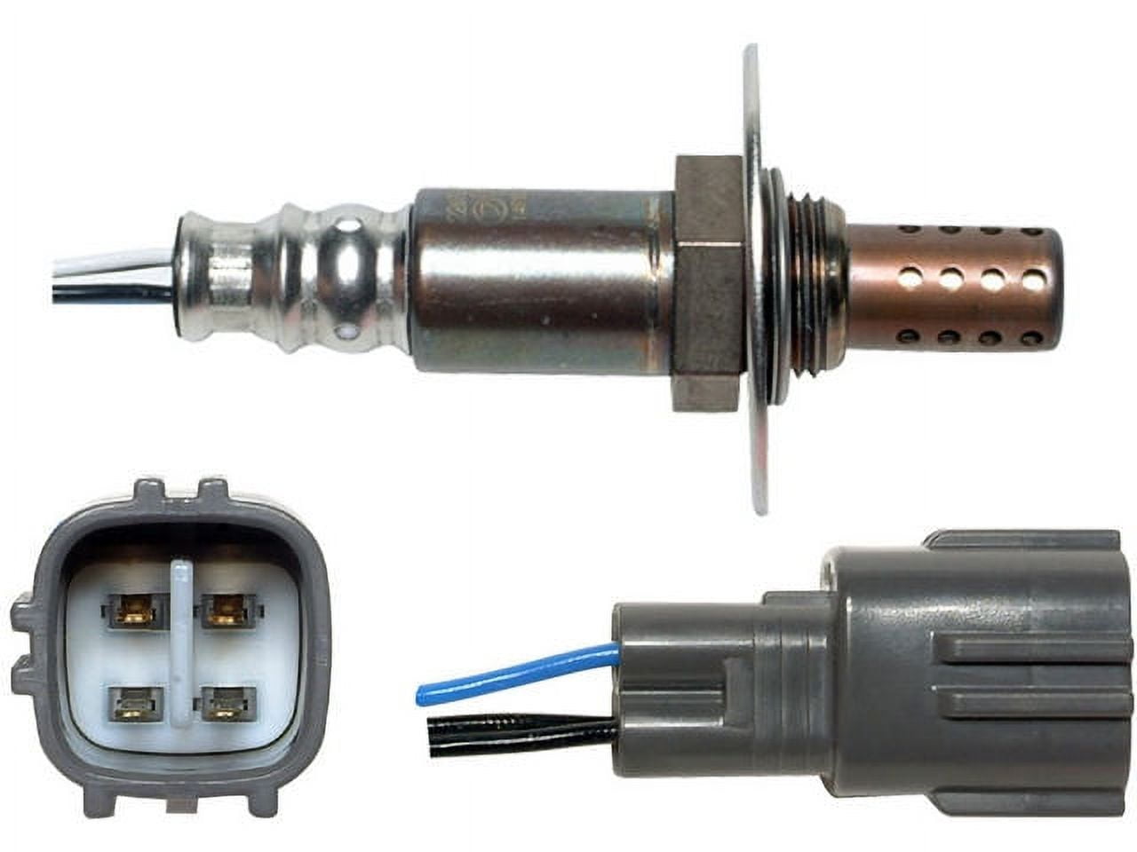 邦楽 A W/X/Y (Live ver.) / Tani Yuuki Presents LIVE ”LOTUS” - YouTube