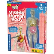 Thames & Kosmos Ooze Labs: Visible Human Body Model with Squishable Organs, Children Ages 6+