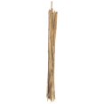 thumbnail image 1 of Panacea 89783 3 ft. Natural Bamboo Stake - 24 Pack, 1 of 1
