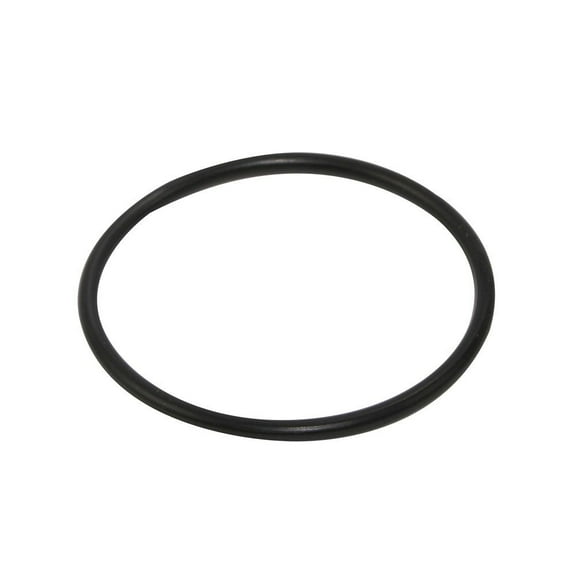Moroso Replacement O-Ring
