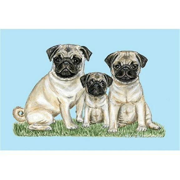 Betsy Drake Pets Pugs Door Mat, 18" x 26"