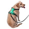 thumbnail image 2 of Fotbe blue green colors Arnés para Perro con Estampado –Chaleco Ajustable Acolchado con Asa de Control para Perros Grandes-Large, 2 of 6