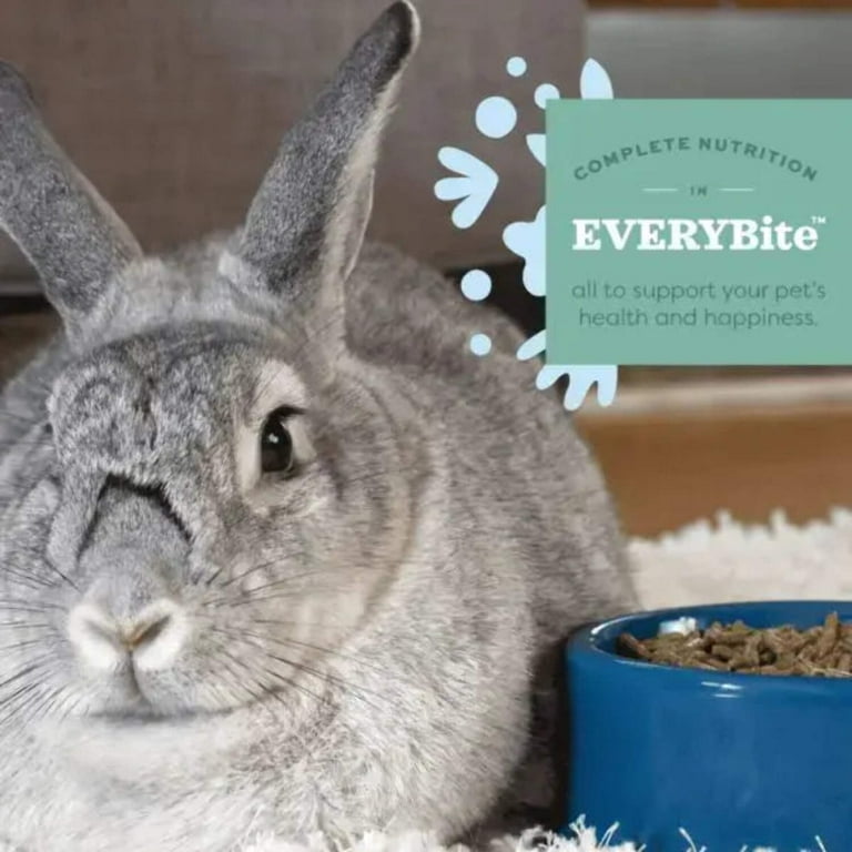 Oxbow baby rabbit food hot sale